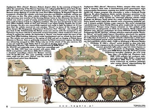 Kagero 15039 Captured Panzers German Vehicles in Allied Service (decal) PL/EN – image 2
