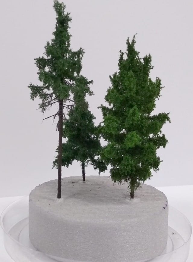 FREON MD - Microtrees set of 3 - height 5-8 cm