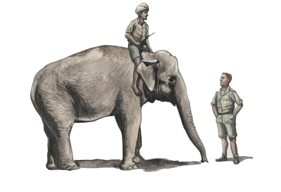 CMK F48345 WWII RAF Mechanic in India + Elephant with Mahout 1/48 – zdjęcie 3
