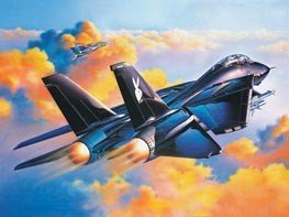 Revell 04514 F-14A Black Tomcat 1/48 – image 2