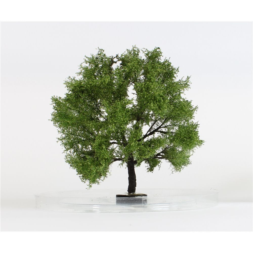 FREON GP1 Pear tree - Field Pear 16/17cm