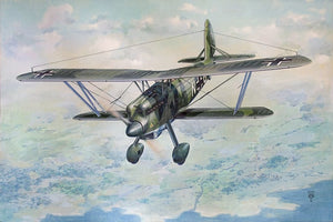 Roden 454 Arado Ar 68F 1/48