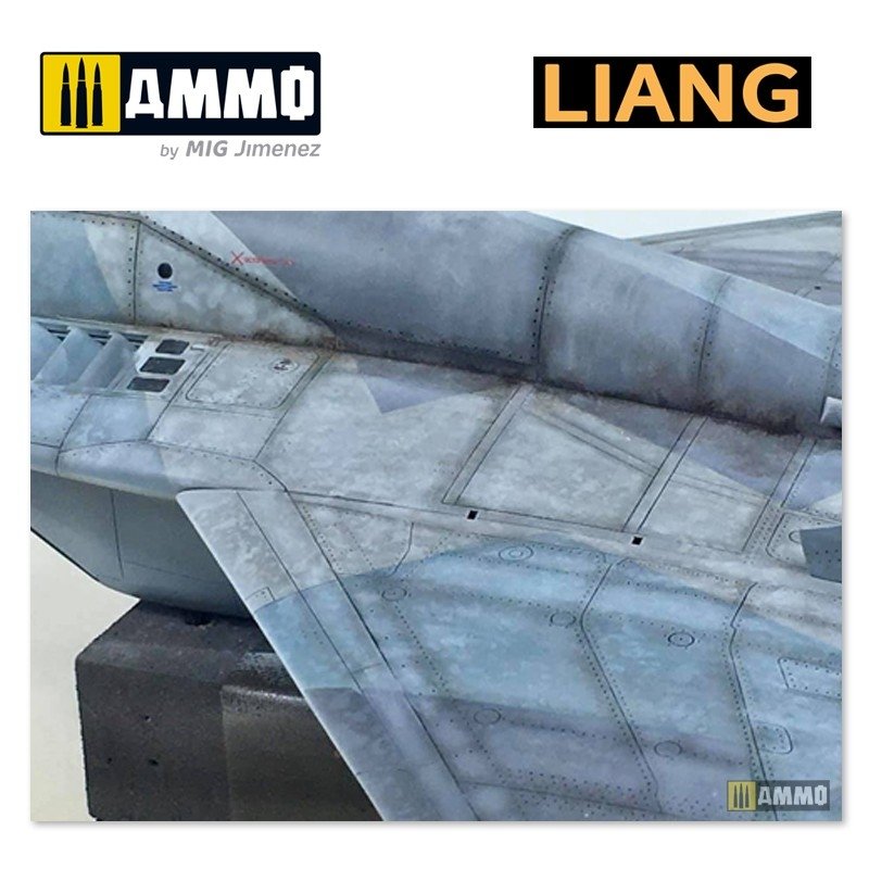 Liang 0007 Salt Weathering Effects Airbrush Stencils (Intensive) – zdjęcie 8