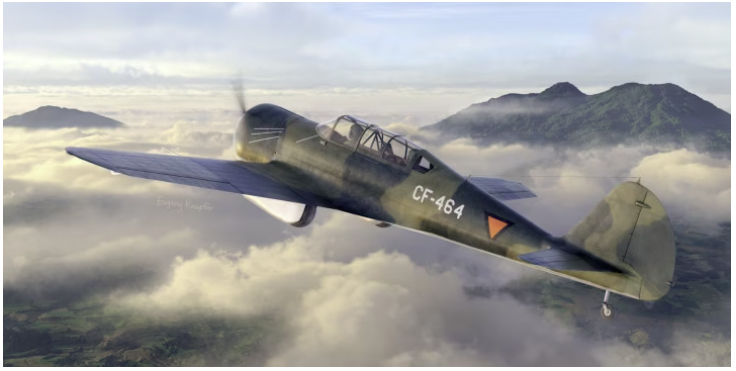 Dora Wings 48036 Curtiss-Wright CW-22B 1/48 – image 2