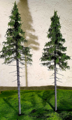 FREON SG1 Mountain Spruce - Świerk Wysokogórski Większy 26/28 cm 3 sztuki – zdjęcie 4
