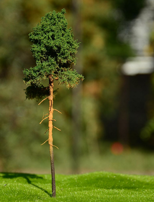 FREON SOM2 Young pine - Sosna młoda 14/16cm