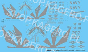 Kagero 41001 Grumman F-14 TOMCAT EN/PL – zdjęcie 2