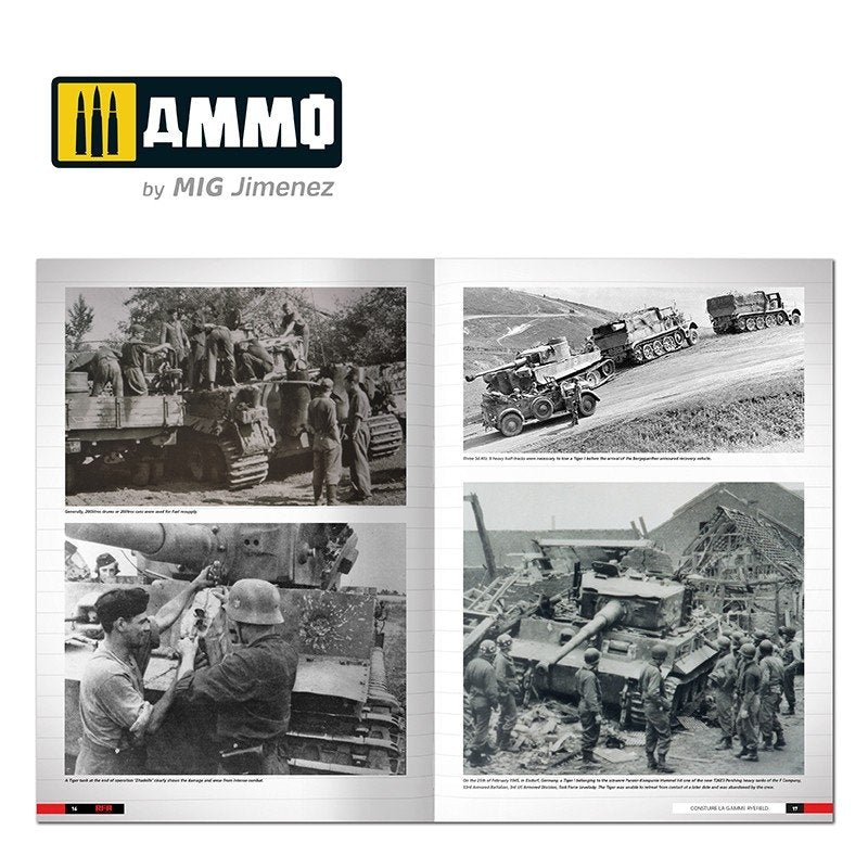 Ammo of Mig 6273 Tigers – Modeling the Ryefield Family (English) – image 3