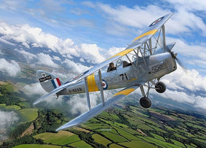 Revell 03827 DH 82 Tiger Moth 1/32 – image 2