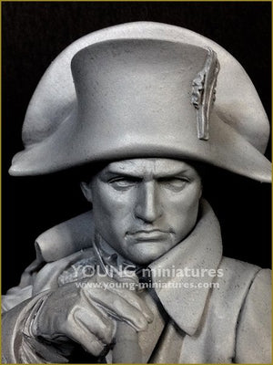 Young Miniatures YH1846 NAPOLEON at Austerliz 1/10 – zdjęcie 8