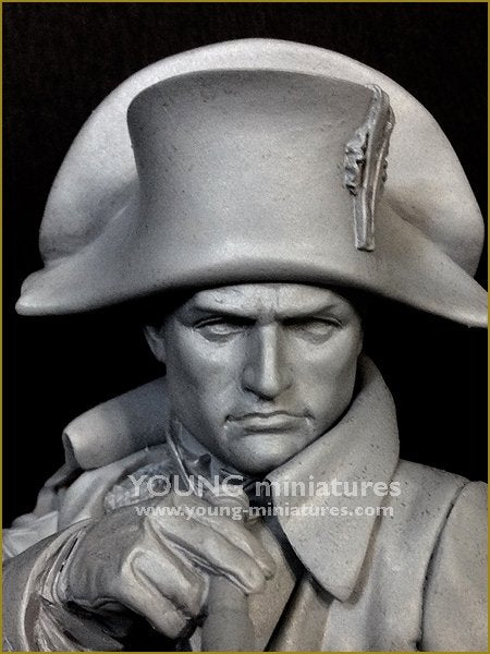 Young Miniatures YH1846 NAPOLEON at Austerliz 1/10 – zdjęcie 8