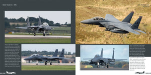 HMH Publications DH-026 Boeing F-15 E/K/SG Strike Eagle - Aircraft in Detail 026 (English Version) – image 10