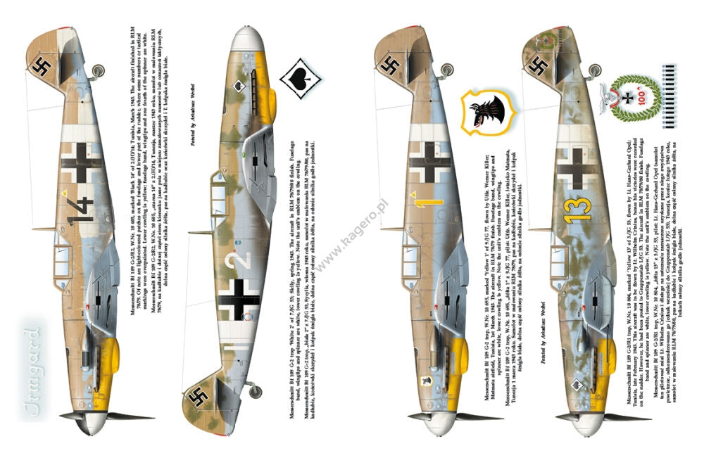 Kagero 12010 Luftwaffe over Tunisia vol. II February – May 1943 EN – image 4
