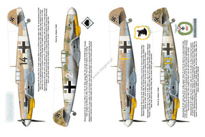 Kagero 12010 Luftwaffe over Tunisia vol. II February – May 1943 EN – image 4