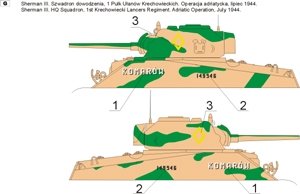 ToRo Model 35D30 - Polish Shermans in Italy, 2nd Polish Corps 1945 vol.2 1/35 – zdjęcie 3