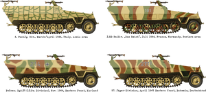 Das Werk DW16005 Sd. Kfz. 251/1 Ausf.D 1/16 – zdjęcie 2