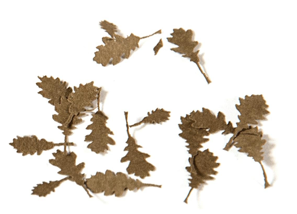 AK Interactive AK8107 Oak Dry Leaves (TOP QUALITY) 1/35 – zdjęcie 2