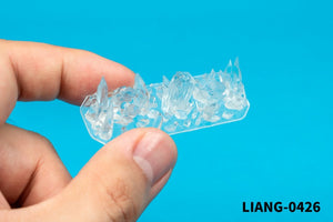 Liang 0426 3D-Print Crystal for Diorama A 1/35 1/48 1/72 – zdjęcie 2