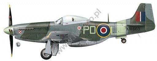 Kagero KD32003 Mustangs over Europe Part 1 Nos. 303 &amp;amp; 309 Squadrons 1/32 – immagine 6