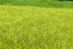 Model scene F010 Wetland light – image 2