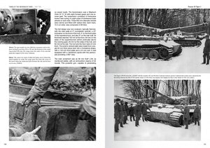 Abteilung 502 ABT760 TANKS OF THE WEHRMACHT WWII · CARLOS DE DIEGO VAQUERIZO – zdjęcie 5