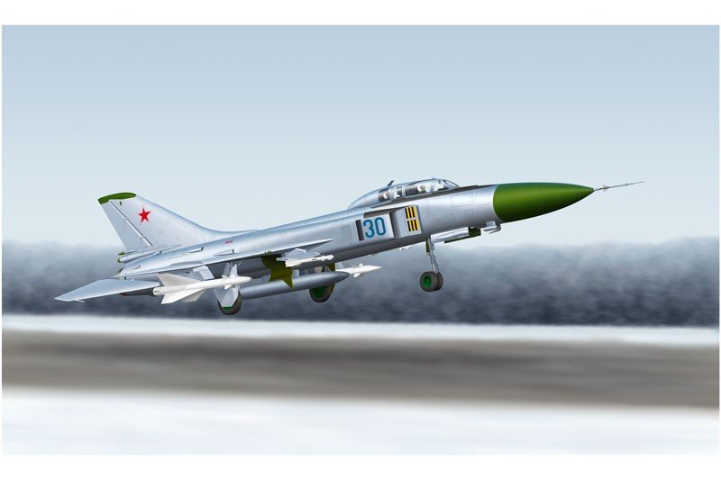 Trumpeter 01625 SU-15 UM Flagon-G 1/72