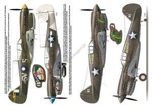 Kagero 3040 Curtiss P-40 vol. II EN – zdjęcie 5