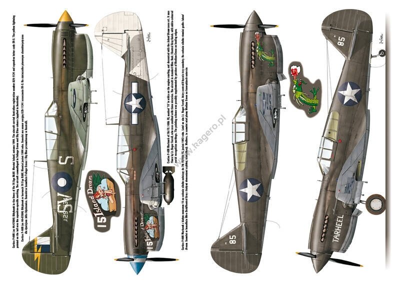 Kagero 3040 Curtiss P-40 vol. II EN – zdjęcie 5