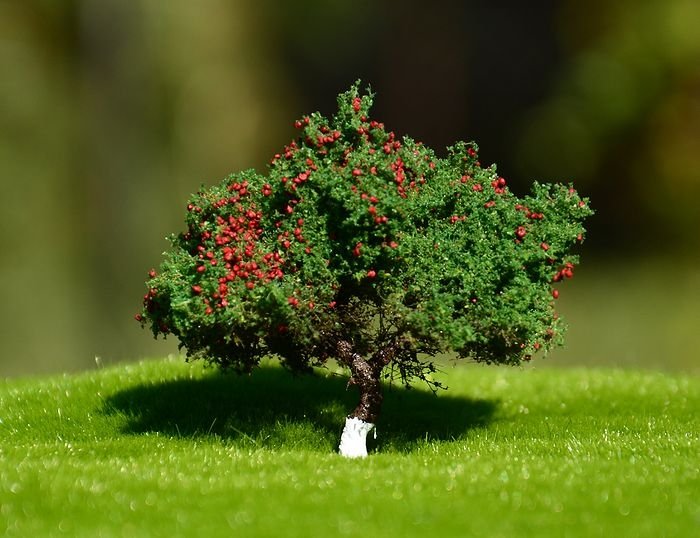 FREON JAB2 Apple tree - Apple tree 3/4cm