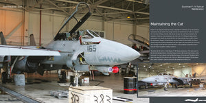 HMH Publications DH-037 Grumman F-14 Tomcat - Aircraft in Detail 037 (English Version) – zdjęcie 7