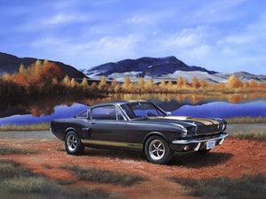 Revell 07242 Shelby Mustang GT 350 H 1/24 – image 2