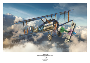 Eduard 8486 Sopwith F.1 Camel (Clerget) 1/48 – zdjęcie 2