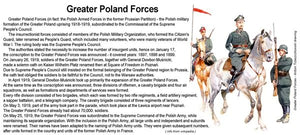 ToRo Model 35F117 - Greater Poland Forces 1919 - Lt Col Wladyslaw Anders Commander of the 1st Greater Poland Uhlan Regiment, Babruysk area, summer 1919 1/35 – zdjęcie 7