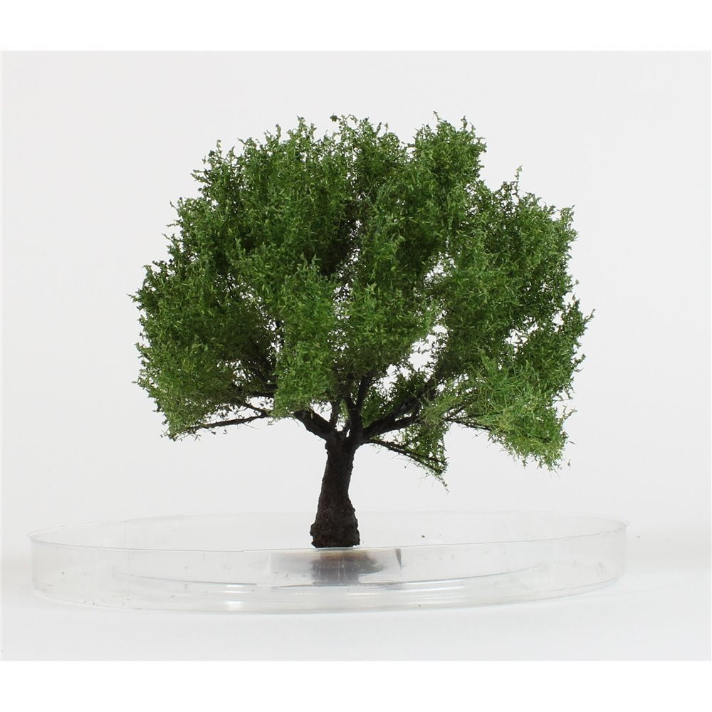 FREON DO1 Olive tree - Olive tree 6/8cm