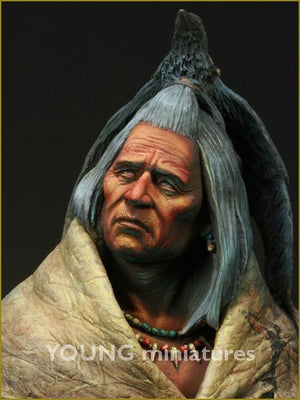 Young Miniatures YH1821 Blackfoot Raven Bearer 1/10 – image 9