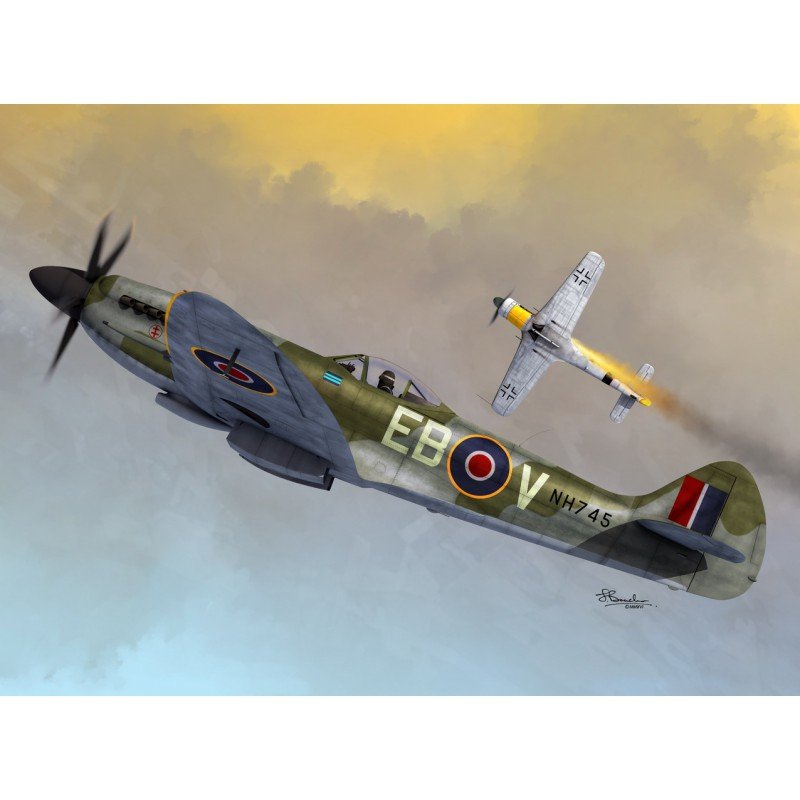Sword 72096 Supermarine Spitfire Mk.XIV C/E Bubbletop 1/72