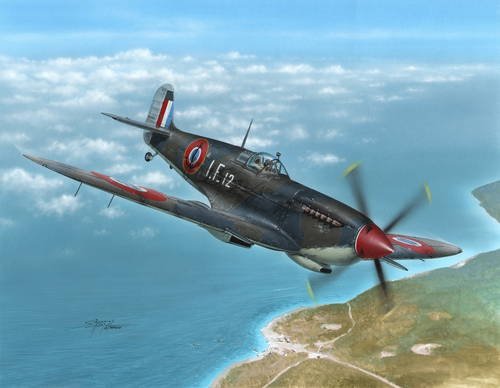 Special Hobby 48138 Supermarine Seafire Mk.III Aeronavale &amp; Irish Air Corps (1/48)