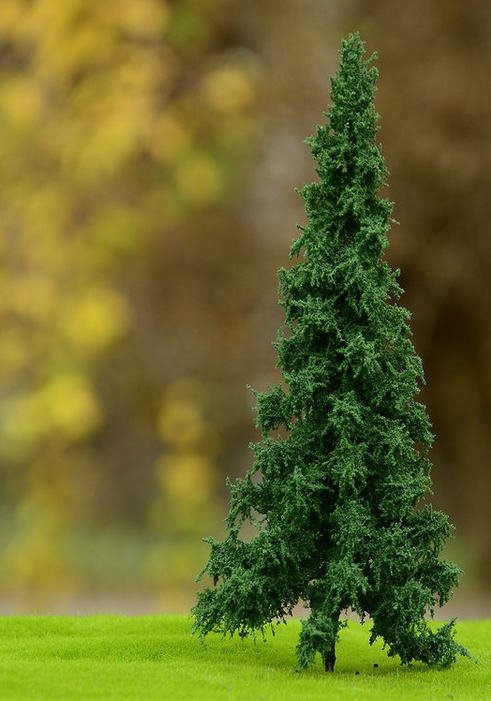 FREON SWI3 Norway spruce - Norway spruce, low trunk (full) 8/12cm