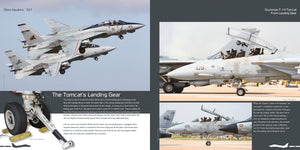 HMH Publications DH-037 Grumman F-14 Tomcat - Aircraft in Detail 037 (English Version) – zdjęcie 5