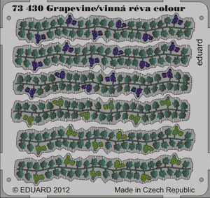 Eduard 73430 Grapevine couleur 1/72