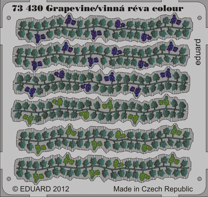 Eduard 73430 Grapevine couleur 1/72