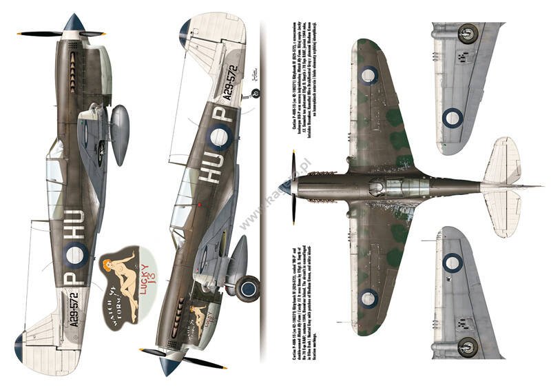 Kagero 3040 Curtiss P-40 vol. II EN – zdjęcie 3